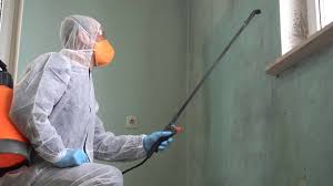 Best Mold Odor Removal Services  in Denison, IA